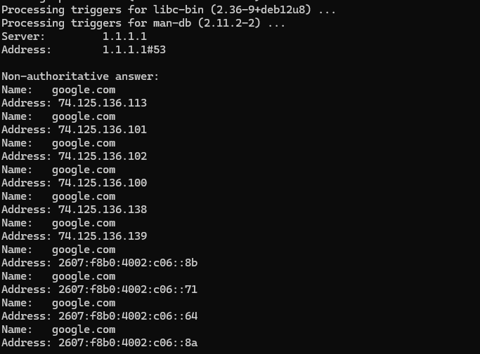 Proxmox test container: nslookup confirming DNS resolution through OPNsense firewall via 1.1.1.1